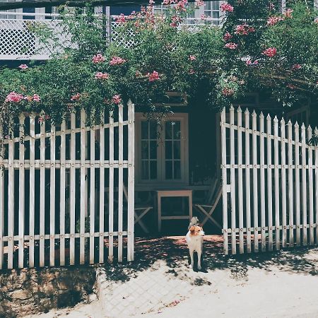Nha Tim Homestay Da Lat Zewnętrze zdjęcie