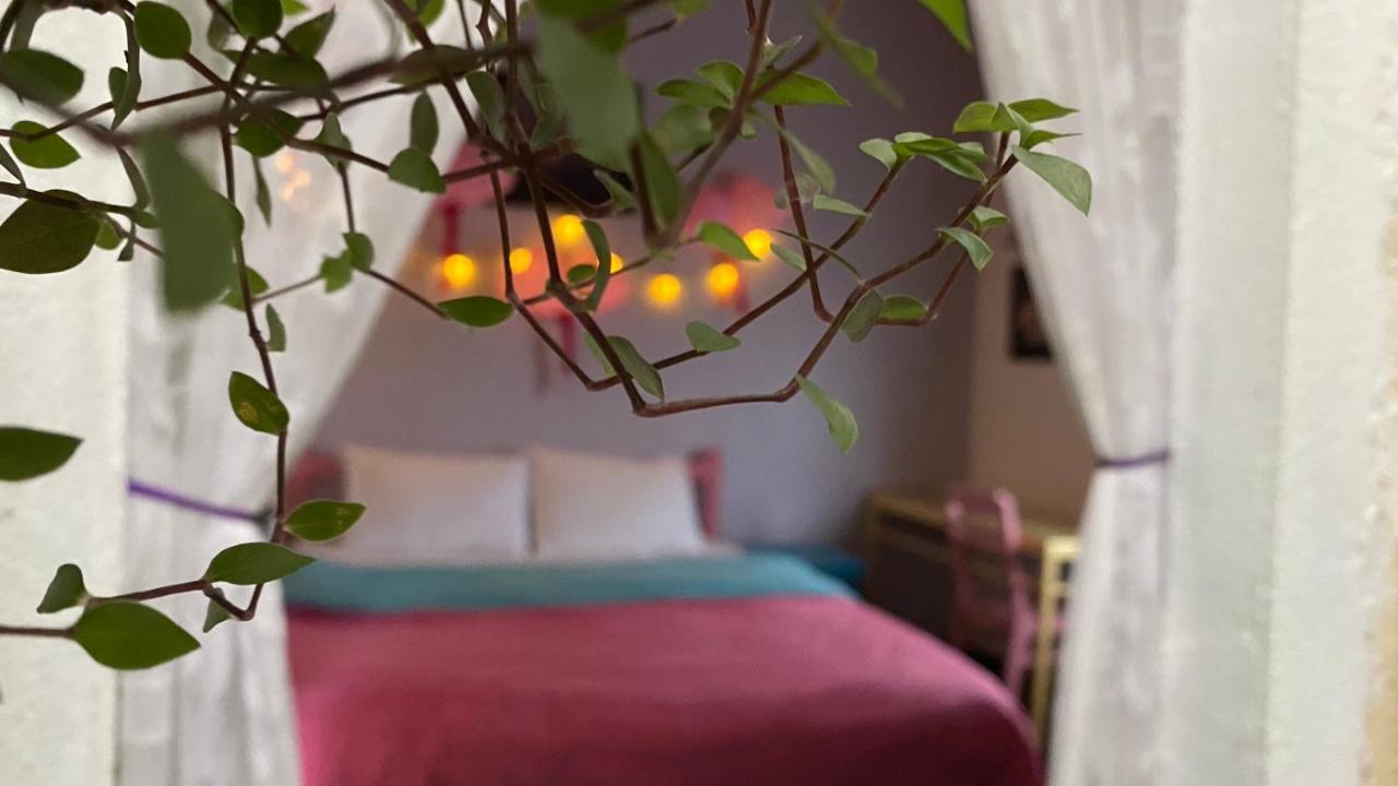 Nha Tim Homestay Da Lat Zewnętrze zdjęcie